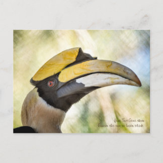 Briefkaart: Great Hornbill 4 Briefkaart