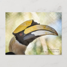 Briefkaart: Great Hornbill 4 Briefkaart