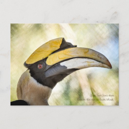 Briefkaart: Great Hornbill 4 Briefkaart (Voorkant)