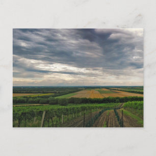 Briefkaart "Griffin"