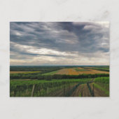 Briefkaart "Griffin" (Voorkant)