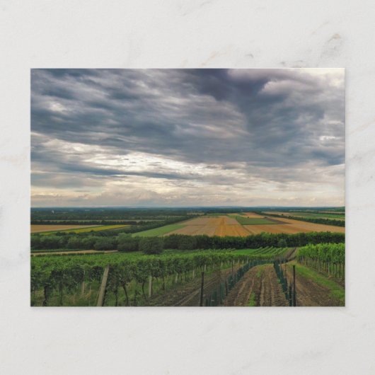 Briefkaart "Griffin" (Voorkant)