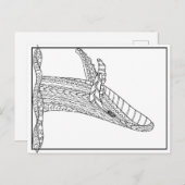 Briefkaart grijze walvis (Voorkant / Achterkant)