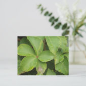 Briefkaart Groene bladeren (Staand voorkant)