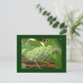 briefkaart groene druiven (Staand voorkant)