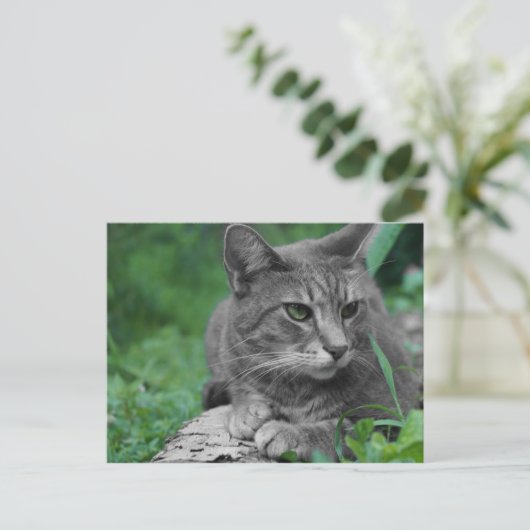 Briefkaart groene kleurstof (Staand voorkant)