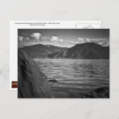 BRIEFKAART ~ Groene monarchen langs het meer van P (Voorkant / Achterkant)