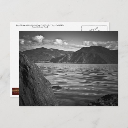 BRIEFKAART ~ Groene monarchen langs het meer van P (Voorkant / Achterkant)