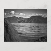 BRIEFKAART ~ Groene monarchen langs het meer van P (Voorkant)