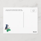 Briefkaart Groene papegaai (Achterkant)