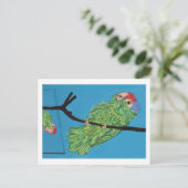briefkaart groene papegaai (Staand voorkant)