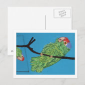 briefkaart groene papegaai (Voorkant / Achterkant)