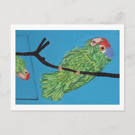 briefkaart groene papegaai (Voorkant)
