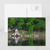 Briefkaart Groene reflecties (Voorkant / Achterkant)