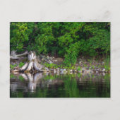 Briefkaart Groene reflecties (Voorkant)