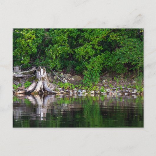 Briefkaart Groene reflecties (Voorkant)