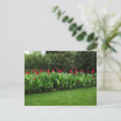 BRIEFKAART ~ GROENHOUSE PLANTEN GARDEN OPEN BEDRIJ (Staand voorkant)