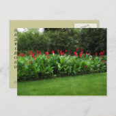 BRIEFKAART ~ GROENHOUSE PLANTEN GARDEN OPEN BEDRIJ (Voorkant / Achterkant)