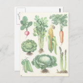 Briefkaart  groenten en fruit (Voorkant / Achterkant)