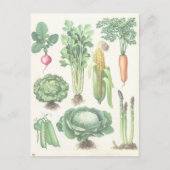Briefkaart groenten en fruit (Voorkant)