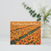 briefkaart "Groeten uit Nederland" (Staand voorkant)