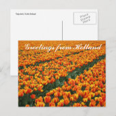 briefkaart "Groeten uit Nederland" (Voorkant / Achterkant)
