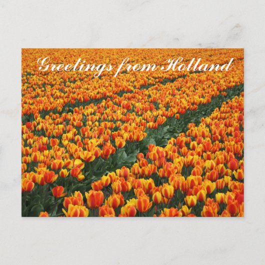 briefkaart "Groeten uit Nederland" (Voorkant)