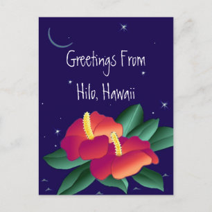 Briefkaart groeten van Hilo Hawaii tropische nacht
