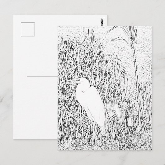 Briefkaart - Groot in grijs naar kleur (Voorkant / Achterkant)