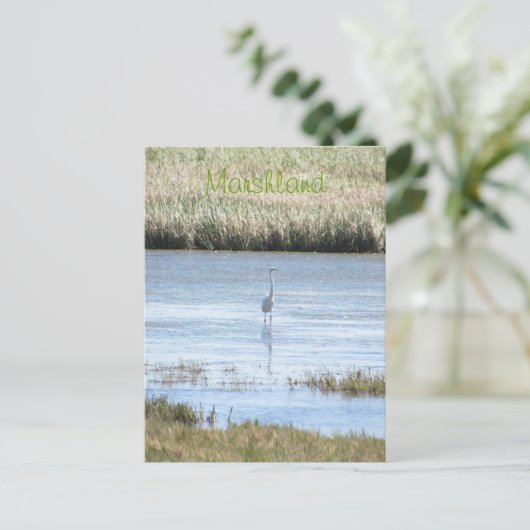 Briefkaart - Groot trots (Staand voorkant)