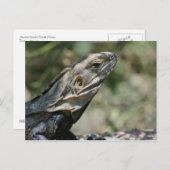 Briefkaart: grote hagedis briefkaart (Voorkant / Achterkant)
