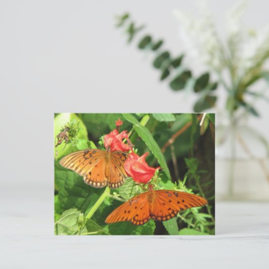 Briefkaart Gulf Fritillary Duo (Staand voorkant)