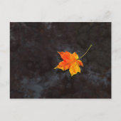 Briefkaart Haiku (Voorkant)