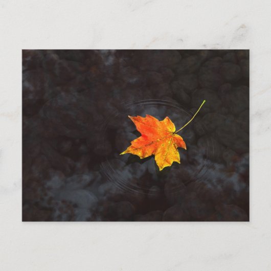 Briefkaart Haiku (Voorkant)