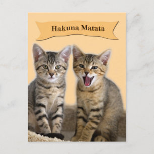 Briefkaart Hakuna Matata Kitten