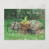 Briefkaart Hallo daar.. Fiets Roze Bloemen in Mand (Voorkant)