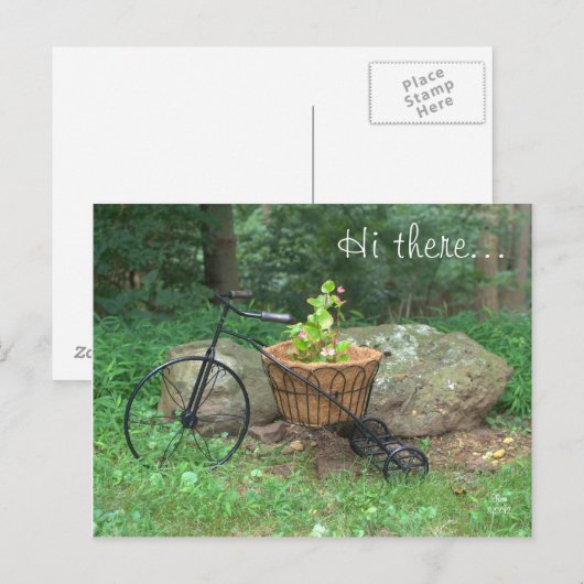 Briefkaart Hallo daar.. Fiets Roze Bloemen in Mand (Voorkant / Achterkant)