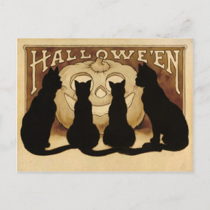 Briefkaart Halloween Cats