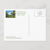 BRIEFKAART, HANALEI-OVERZICHT (OVERLOPENDE TARO-VE BRIEFKAART (Achterkant)