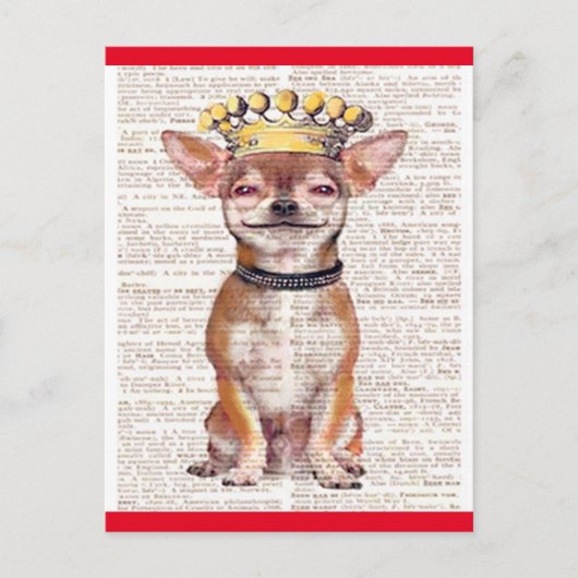 BRIEFKAART - HAPPY CHIHUAHUA-RED TRIM (Voorkant)