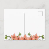 Briefkaart - Happy Moederdag (Achterkant)