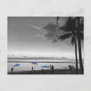 Briefkaart Hawaii Beach en Palm Trees