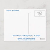 BRIEFKAART HAWAII BLOWHOLE#2 (Achterkant)