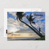 Briefkaart Hawaii Palms (Voorkant / Achterkant)