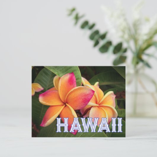 Briefkaart Hawaii Travel (Staand voorkant)