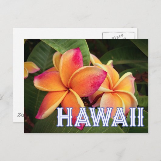 Briefkaart Hawaii Travel (Voorkant / Achterkant)