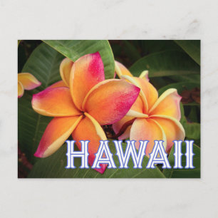 Briefkaart Hawaii Travel