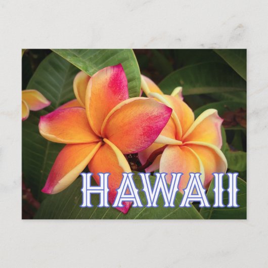 Briefkaart Hawaii Travel (Voorkant)