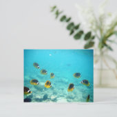Briefkaart Hawaiian Ocean Scene (Staand voorkant)