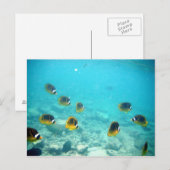 Briefkaart Hawaiian Ocean Scene (Voorkant / Achterkant)